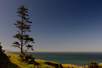 Ecola state park, Oregon coast