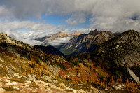 Larches III